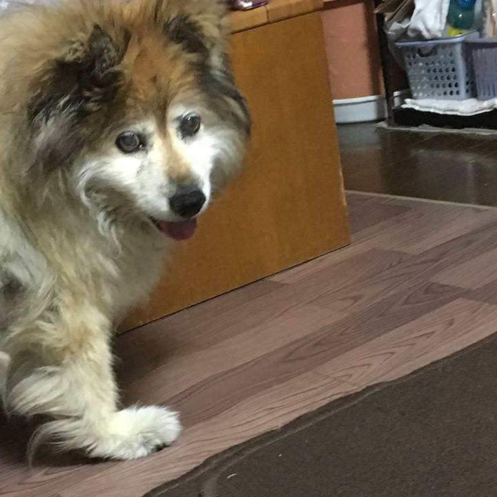 6e814a79 49e6 4ef4 becf 901fad1bd2ef 1618130905124