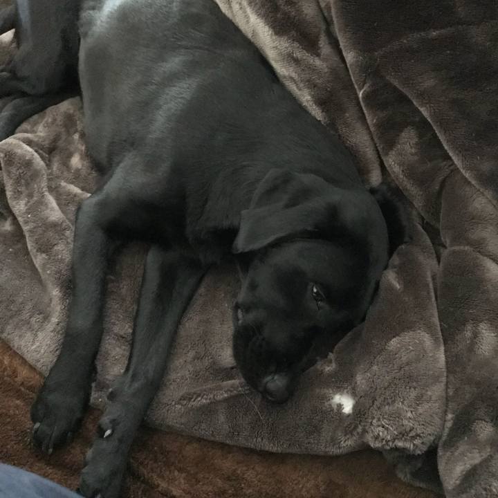 6e814d23 bbdc 4ae0 b2a2 8223b55adee8 1516762685209