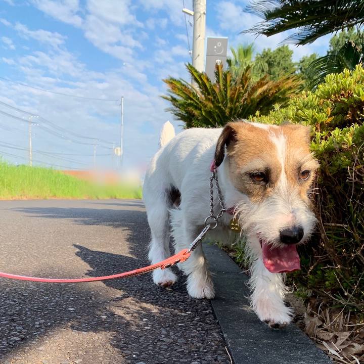 6e815ad8 c034 46e7 a72e 85ff66f4c363 1597378895713