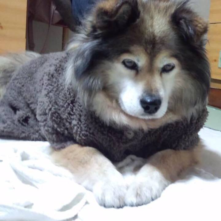 6e815e6a 8d54 4e76 aac7 1bc5fa24efb5 1549668348812