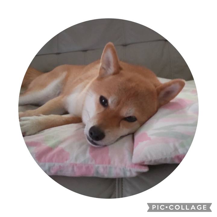 6e817574 6af7 4c8b 9181 72769e67bfff 1695011591563