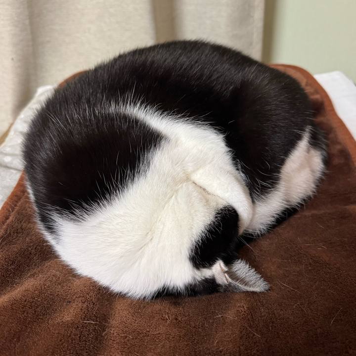 6e819afe d7e0 43c6 a63d decf6cd3a1c9 1768005398351