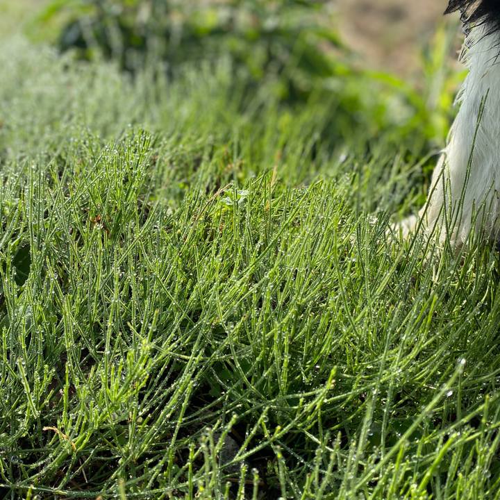 6e81a9df da0a 4f35 adbd da21f93bf9c3 1604365565635