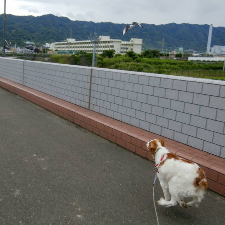 6e81b0ae ba2f 4691 a44e b5b395c00d51 1560499837372