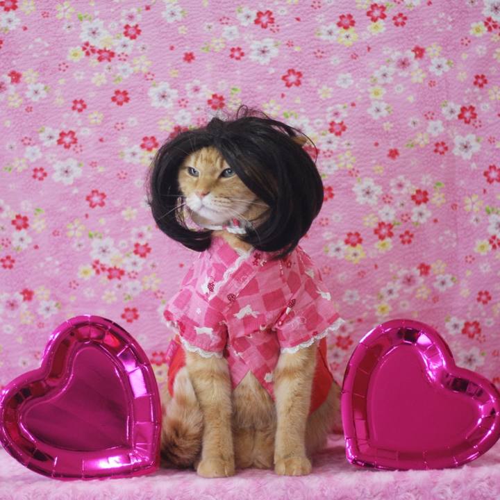 6e81e1dc 2e5b 4f44 8dba 6a5dfecaf93e 1646178153908