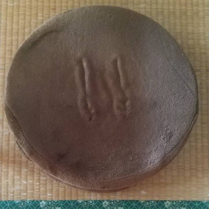 6e81f65a 570e 429c 9070 9249ea24ff3e 1648790886774