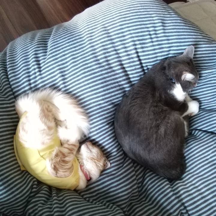 6e81f912 6064 411d 856e 0a5526973832 1615076239139