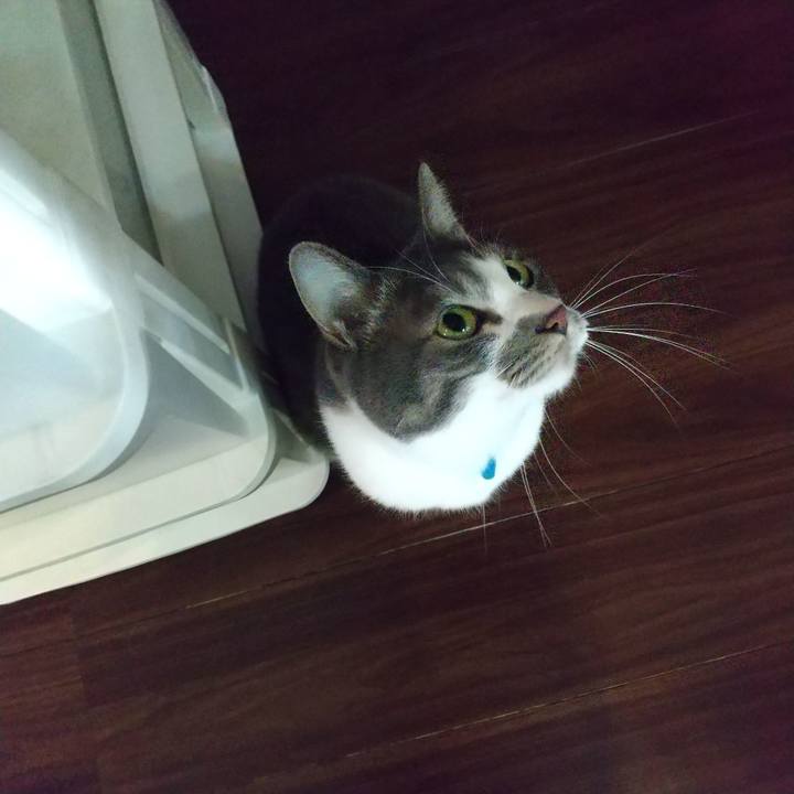 6e820794 f6cc 47f7 8360 167c1fb7073c 1643423417532