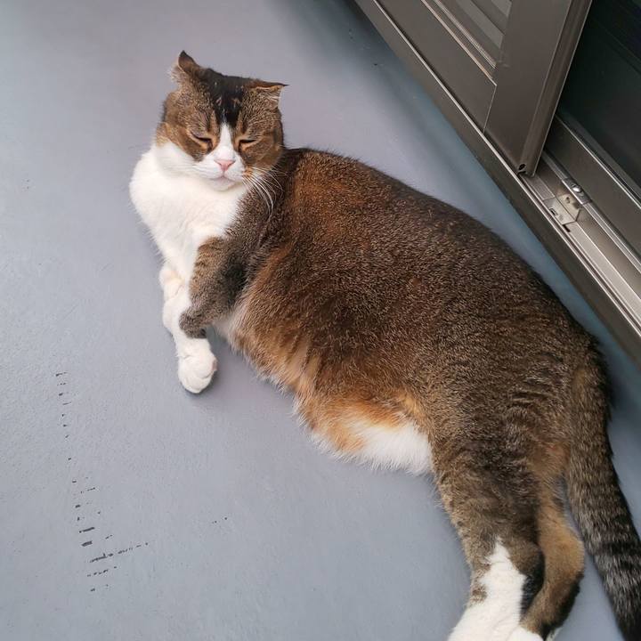 6e820d95 16e0 46eb be80 098f55623bb0 1746846589744