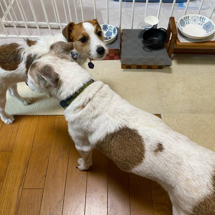 6e82338a edee 49d4 9d74 6f2d28a8a7af 1720563332601