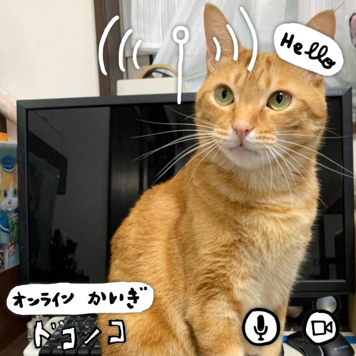 6e823c6f df01 47dd 8977 cdd1a5064c4f 1590698333319