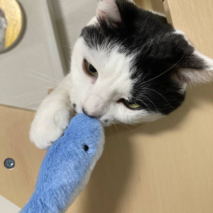 6e8257d1 c662 4ff6 b0ea 1f7edaa928df 1767793168813