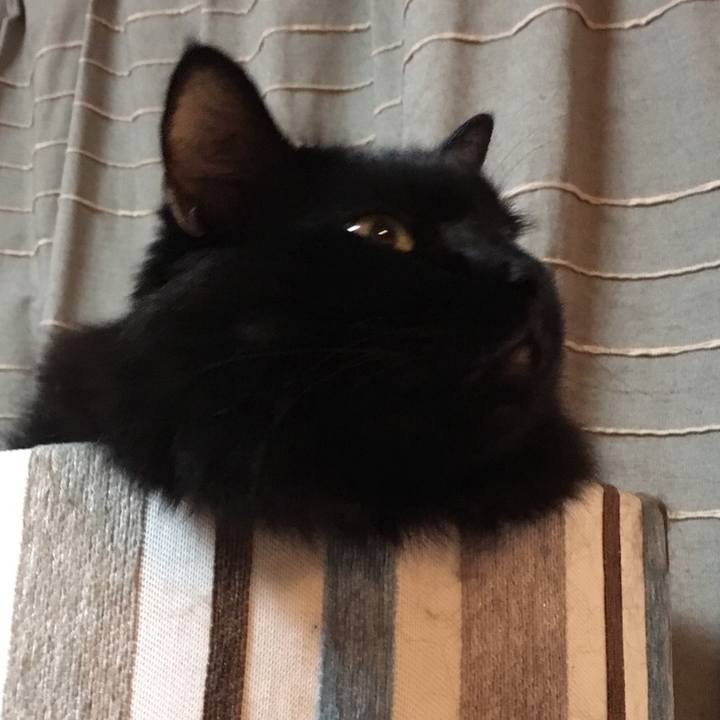 6e82b260 3597 4dc9 9f4a 93b527d9d469 1568987136148