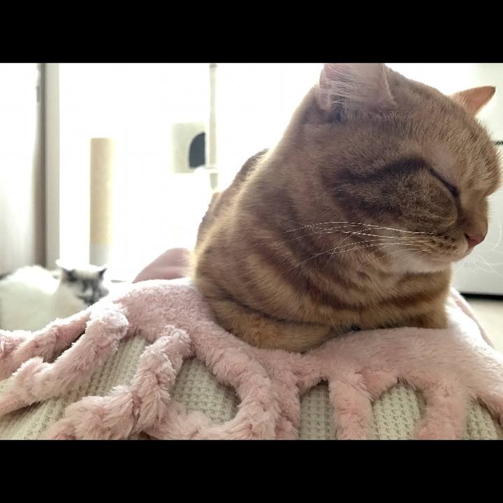 6e82bf13 8c1c 4f7a b69b c4702b96ebf3 1510384887097