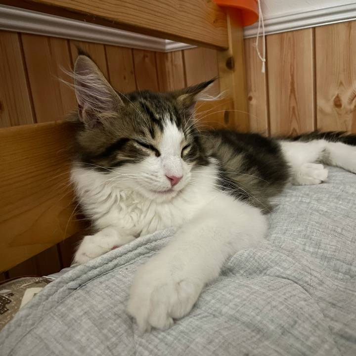 6e82d3a3 ce87 4a27 ab5a 85d91c7c0eb0 1633090666104