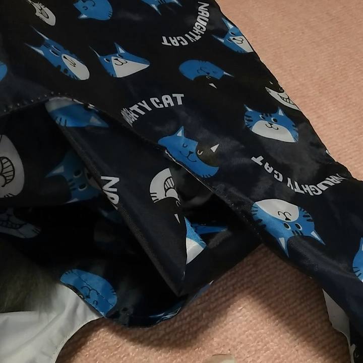 6e82eba7 57bc 4338 a5ec f2546620dcfe 1566945625468