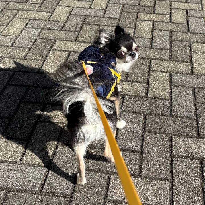 6e833255 aff7 4bd0 98a9 8ceeed6a6d10 1732983158900