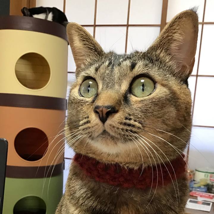 6e83496a 6148 4f98 9381 a740c158d79a 1640127791681