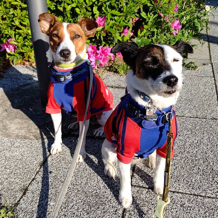 6e839334 d0a7 46d2 bf4e f7acb4d7a8b5 1618437938723