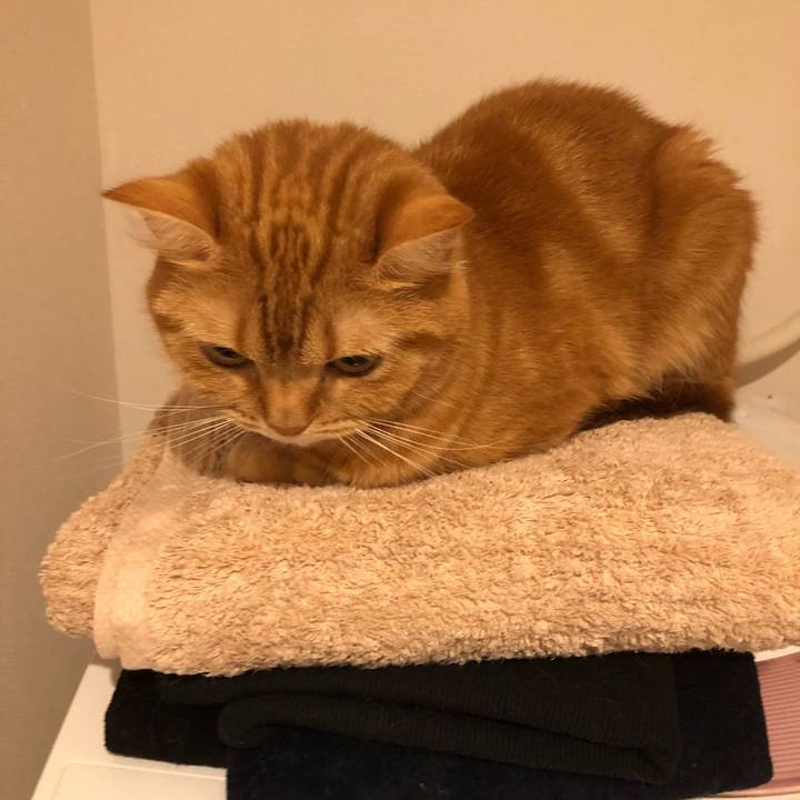 6e839641 7e25 44b7 aa88 c66fa7464204 1594893468823