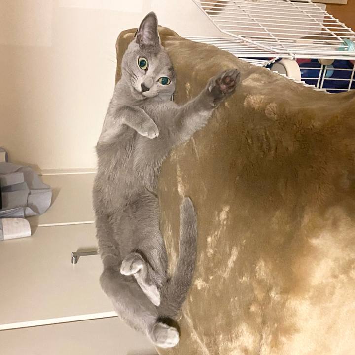 6e83c2eb c3da 4c56 ae49 cac3a984837a 1662772888158