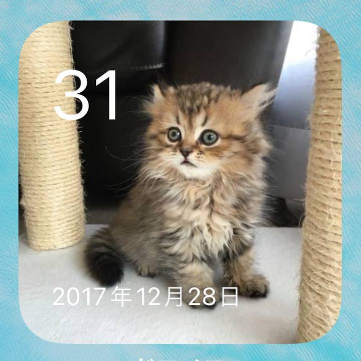 6e83d5cc 54f9 457c 9f5f 398c0593ee7f 1640948925287