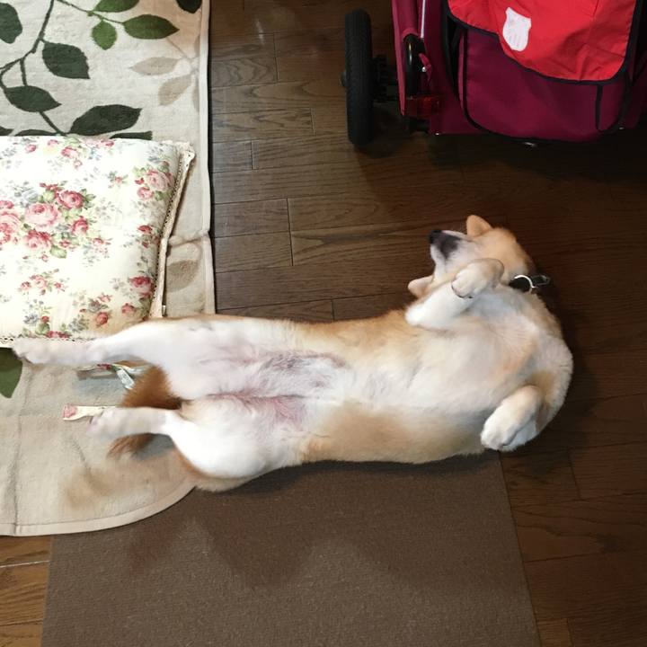 6e83d823 9463 4a0a a9b6 3f4590ca7976 1531136291497