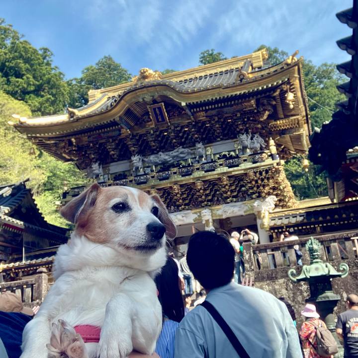 6e83f170 2dce 4e39 8185 97bdb5867c0a 1714353127258