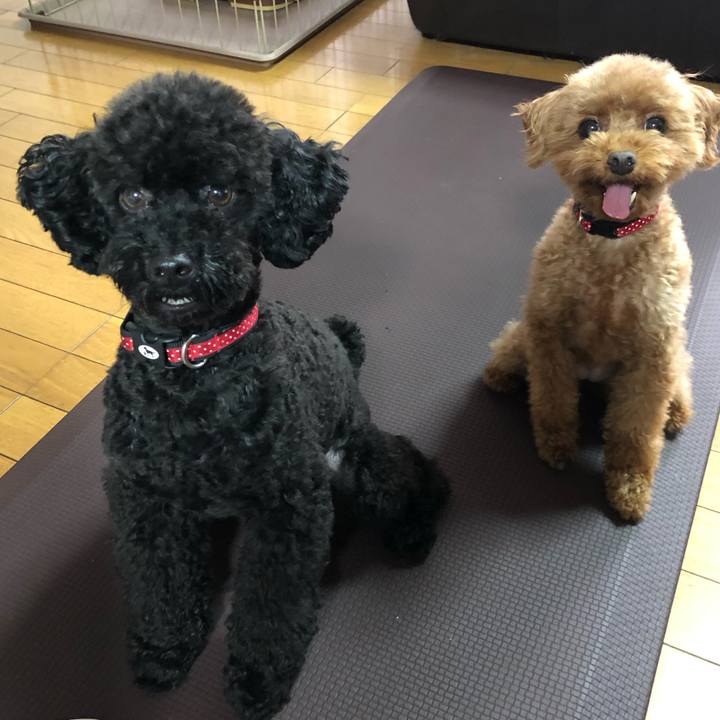 6e8423e0 59d1 4095 a89d b30a4b98774d 1563879010223