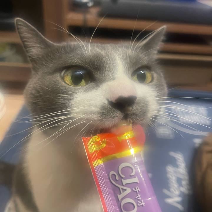 6e84950d 5808 4aa5 83e6 ef5725b33b73 1706171927660