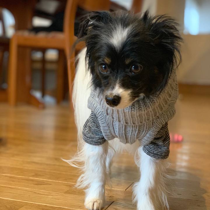 6e84c442 da37 445e 95e4 a1acc4d17387 1549846435332