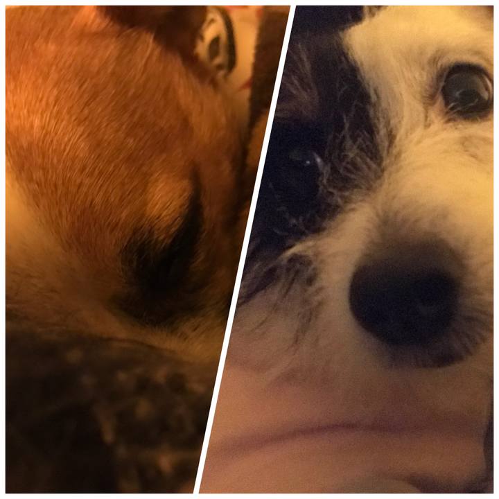 6e84e338 fae9 43c3 a29d 15a9fb8d3192 1512645174051