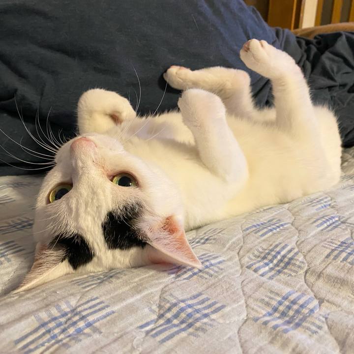 6e84ef47 86ed 4a13 8a2f 3973b6fd736e 1764061484170