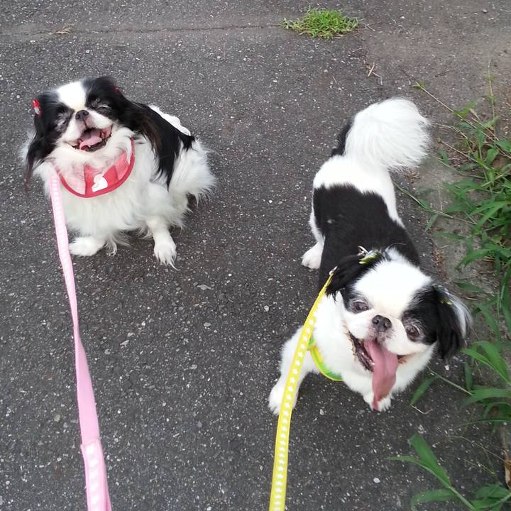 6e85673d a93e 4406 b09e b86ed9fc6bec 1597350653059