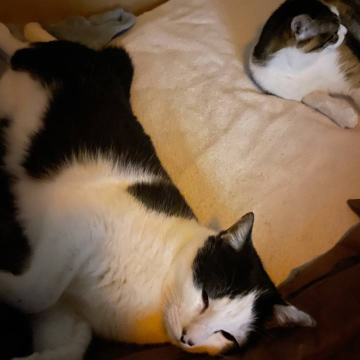 6e85a33f b0a5 4a8d 8efa fd4724e1a421 1646480994434