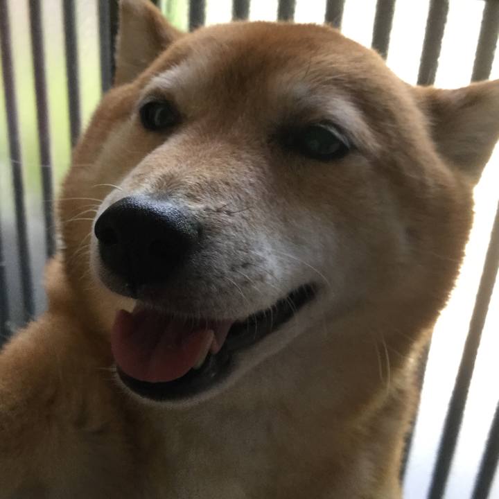 6e85cefb 5139 4b5b bea7 50281154c568 1559181409096