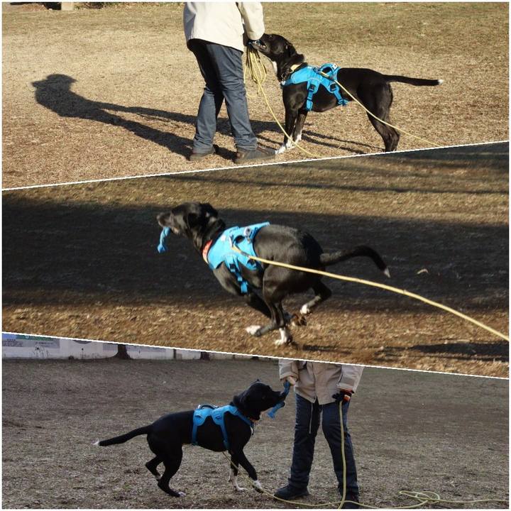 6e863ed2 3080 430d 8da2 3a3f187962c5 1614212807849