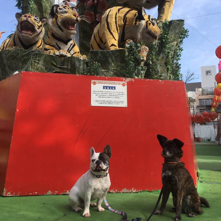 6e86803e d060 416c 907e d93c082e9a3b 1550534521622