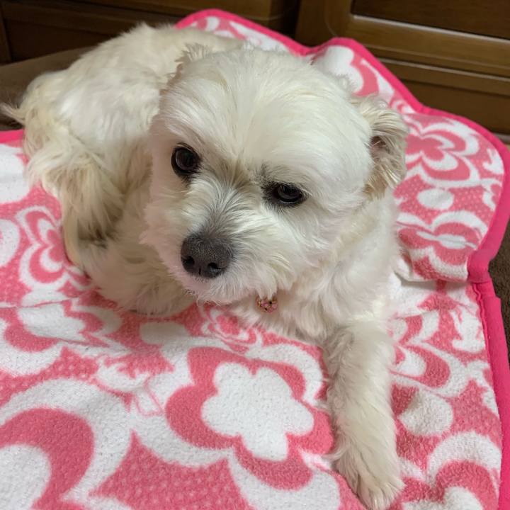 6e86b456 dc8f 4f80 9e1b 9d587a2092ea 1616071390065