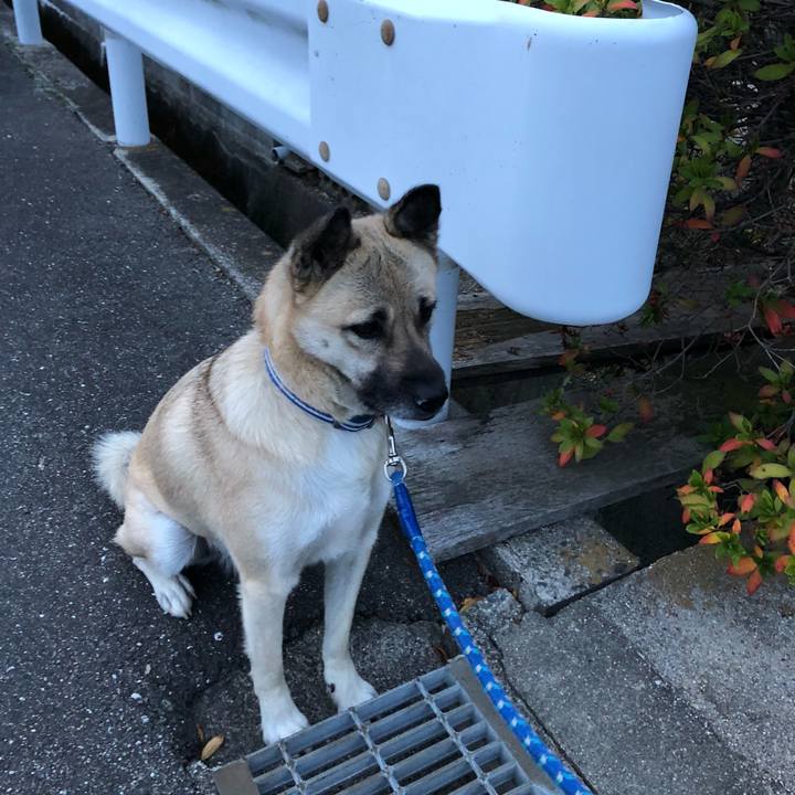 6e86bc0d 453b 4acf a03a 6dd8381a5f3b 1544183163247