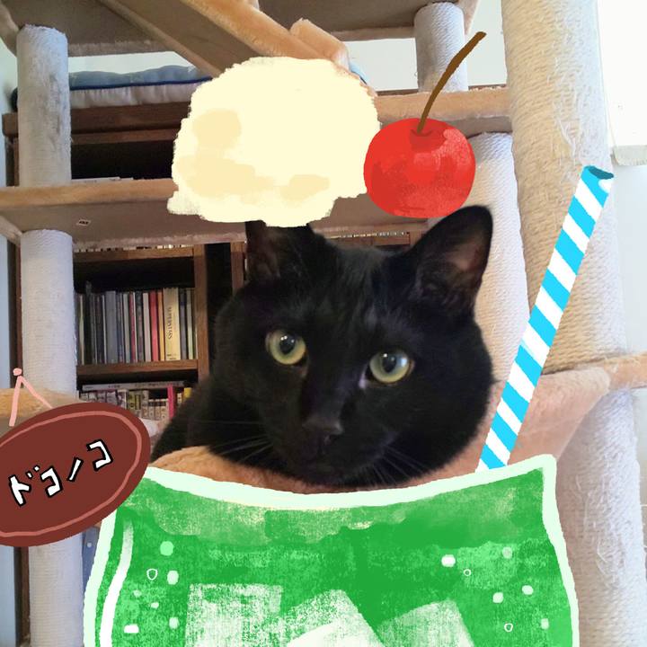 6e86ccd7 eef1 4274 9d55 a045c7751b53 1755051858845