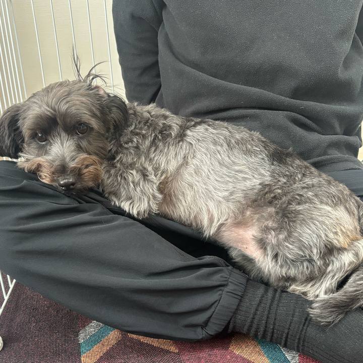 6e86d324 17fd 46a5 bf9c 3e088ce598a5 1764325982633