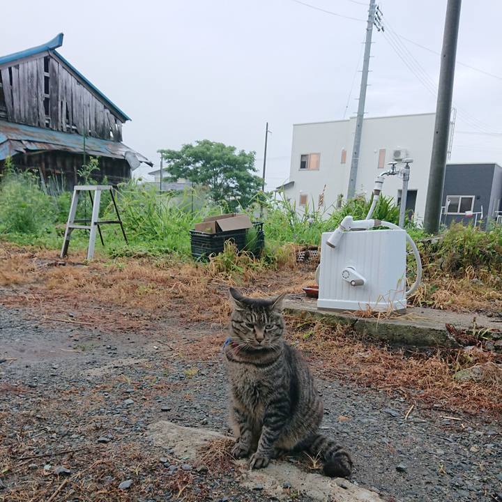 6e86e82b 5090 489c 989e b94fe95032f1 1658004789960