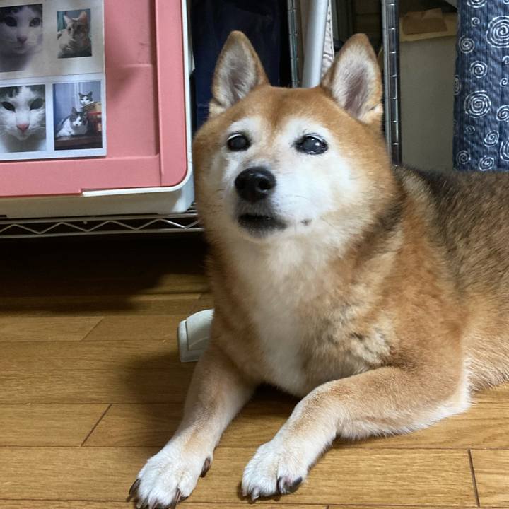 6e871421 dcb8 4d47 a9f8 bbc98e8562d8 1694920495753