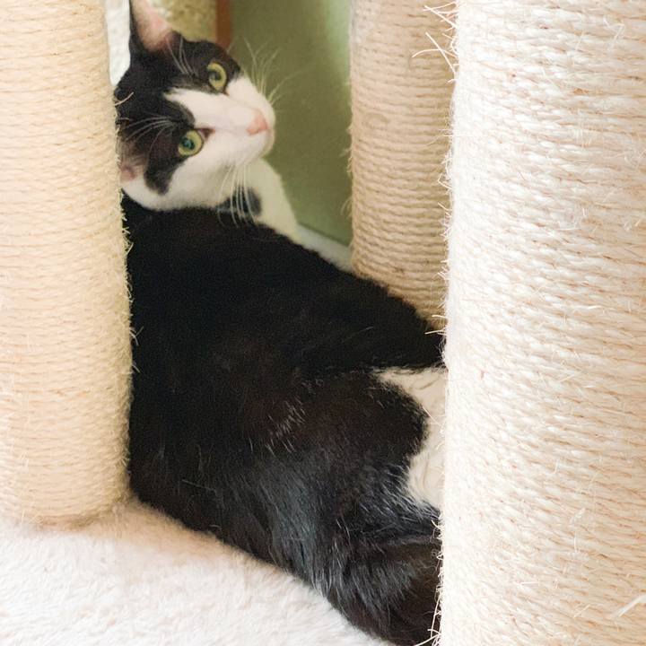 6e871f0e a4ce 4da5 857e 0a1b36048958 1566783036520