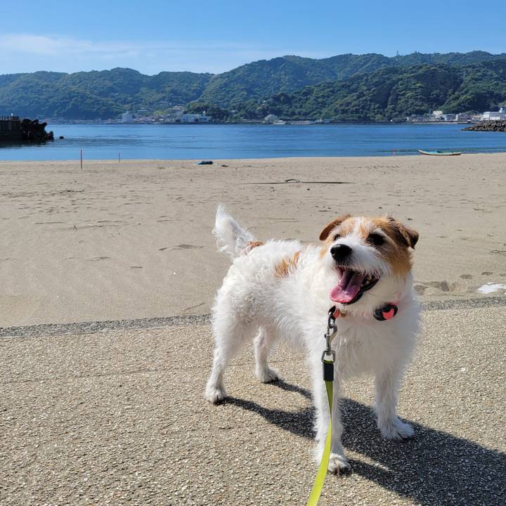 6e875a9f 9fcf 4910 ae17 0d126a7fbf14 1715996150557