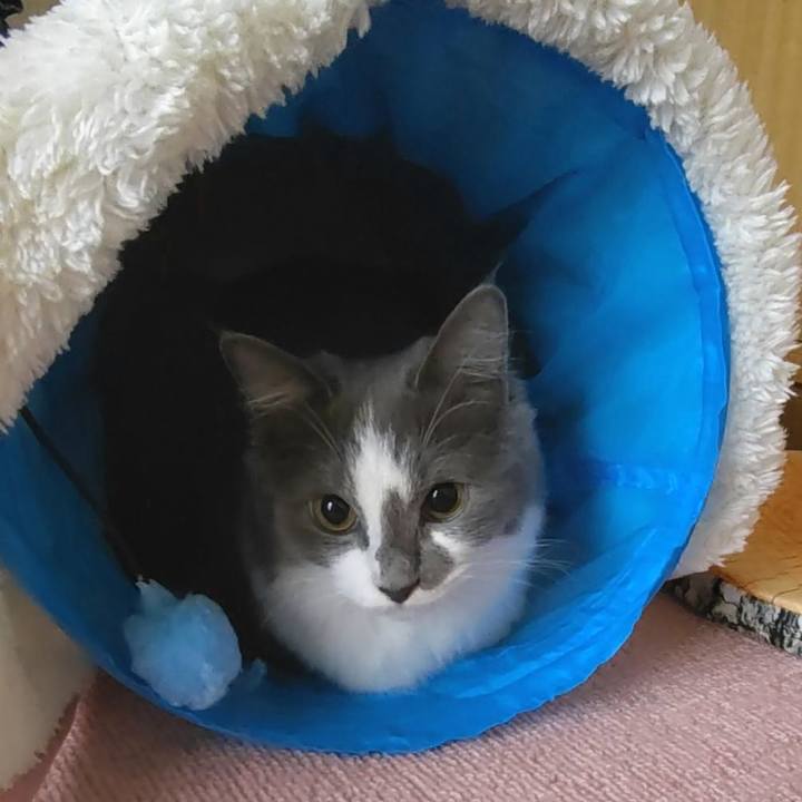 6e875dfe 881e 4709 ad89 aae8f2282047 1574468545185