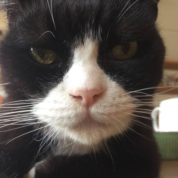 6e877c86 7ade 43c8 b469 3472f58cdcd9 1564874799170