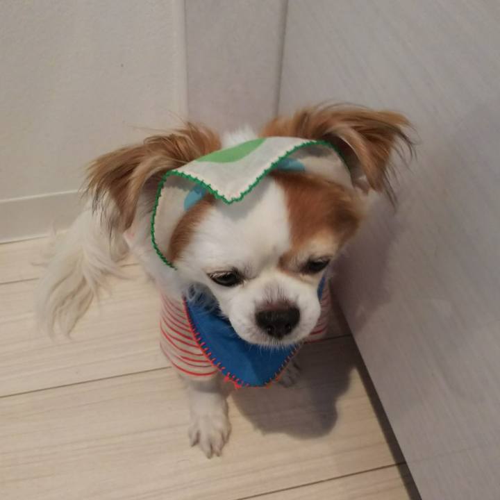 6e87d551 a46b 44e1 a873 4afc1cf7f594 1532476698367