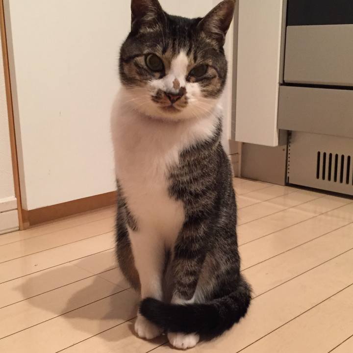 6e87e8f5 59a2 48cb a1e4 8bc3aaef4389 1512690858567